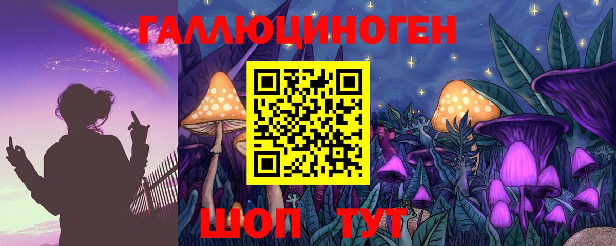 Псилоцибиновые грибы Psilocybe  Вход с VPN  цены   Елец 